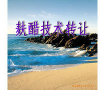 產品庫技術轉讓 優勢、要點與實施策略